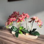 WhatsApp Image 2025-07-07 at 11.01.28 (2)