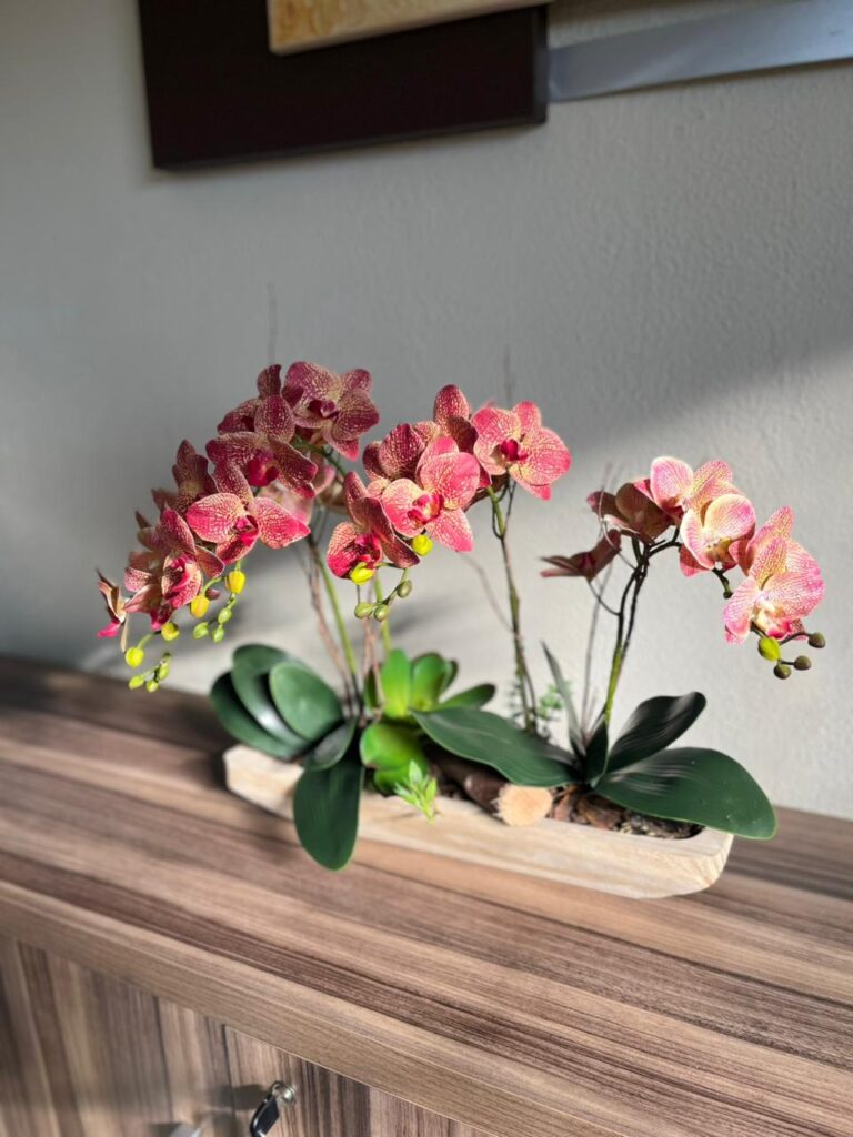 WhatsApp Image 2025-07-07 at 11.01.28 (2)